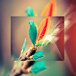 成人免费淫片95视频观看网站
